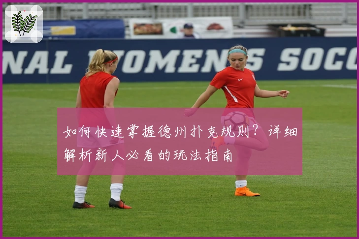 如何快速掌握德州扑克规则？详细解析新人必看的玩法指南