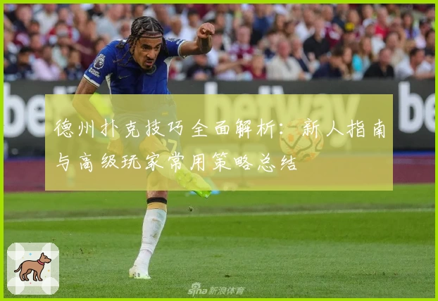 德州扑克技巧全面解析：新人指南与高级玩家常用策略总结