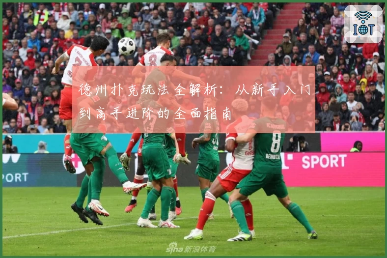 德州扑克玩法全解析：从新手入门到高手进阶的全面指南