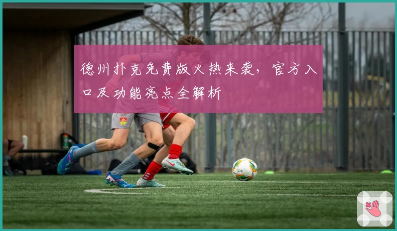 德州扑克免费版火热来袭，官方入口及功能亮点全解析