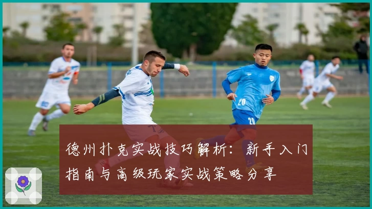 德州扑克实战技巧解析：新手入门指南与高级玩家实战策略分享