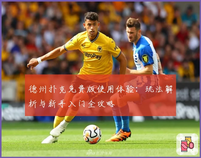 德州扑克免费版使用体验:玩法解析与新手入门全攻略