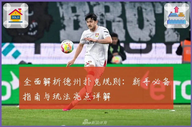 全面解析德州扑克规则：新手必备指南与玩法亮点详解