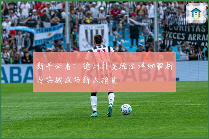 新手必看：德州扑克玩法详细解析与实战技巧新人指南